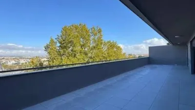 Attic in La Flota photo 7