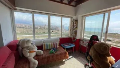 Apartment in Platja Muchavista photo 43