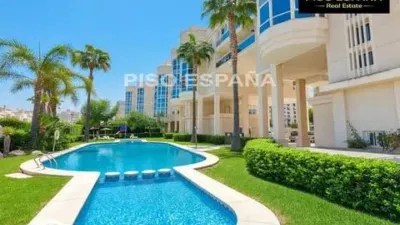 Pis – Alacant / Alicante, l'Alacantí - Vista 2