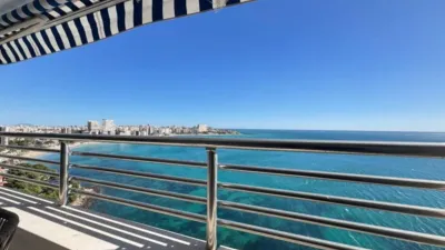 Pis - Vista 2