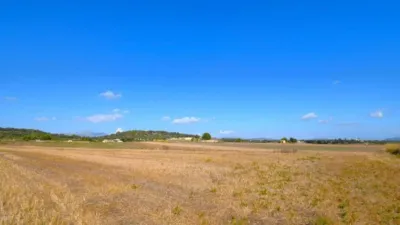 Rustic property in Muro photo 17