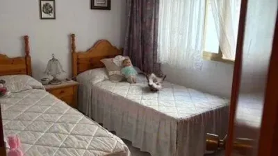 Apartment in Las Adelfas-Benicolada-Garduix photo 11