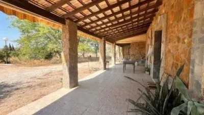 Casa – Elx - Elche - Más
