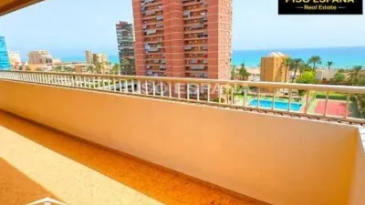 Pis – Alacant / Alicante, l'Alacantí - Vista 5