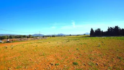 Rustic house in Muro photo 5