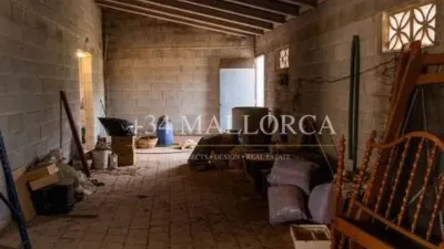 Chalet in Alaró photo 37