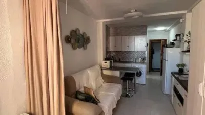 Piso – Torrevieja, El Palmeral - Vista 5