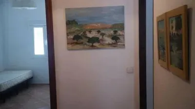 Apartment in La Palmera-Reina Mercedes photo 21