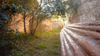 Chalet in Muro photo 19