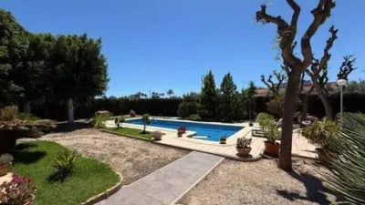 Casa – Elx / Elche, la Foia - Vista 3