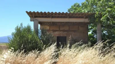 Rustic property in Muro photo 2