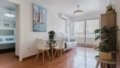 Pis – Torrevieja, San Roque - Vista 3