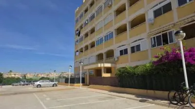 Pis – Torrevieja - Vista 3
