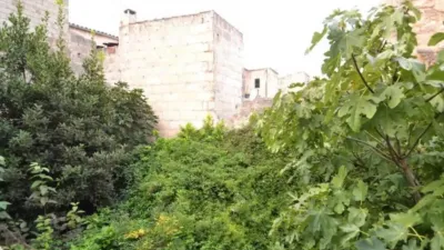 Rustic house on Carrer Major photo 24