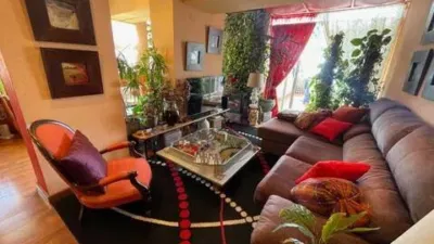 Apartment in Platja Muchavista photo 11