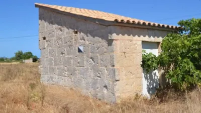 Rustic property in Muro photo 10