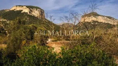 Chalet in Alaró photo 3