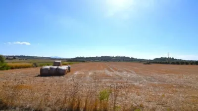 Rustic property in Muro photo 10