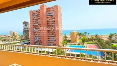 Pis – Alacant / Alicante, l'Alacantí - Vista 4