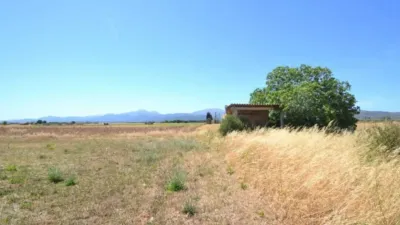 Rustic property in Muro photo 4