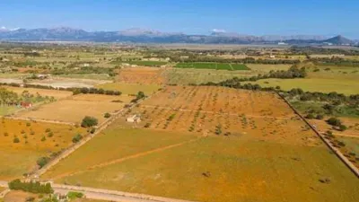 Rustic house in Santa Margalida photo 9