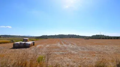 Rustic property in Muro photo 4