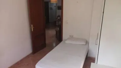 Apartment in La Palmera-Reina Mercedes photo 10