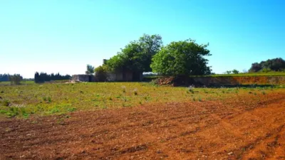Rustic house in Muro photo 17