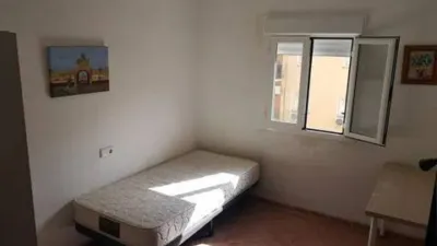 Apartment in La Palmera-Reina Mercedes photo 6