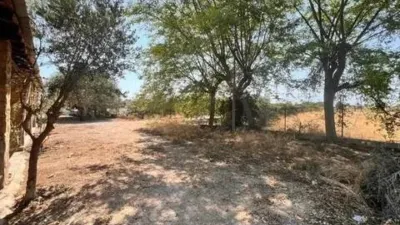 Chalet in Torrellano-Valverde-Parc Empresarial photo 44