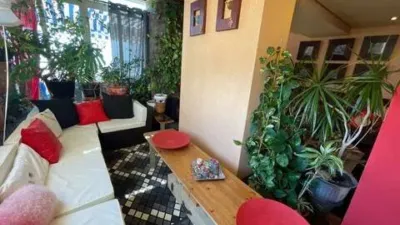 Apartment in Platja Muchavista photo 23