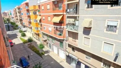 Pis – Elx - Elche - Vista 5