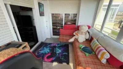 Apartment in Platja Muchavista photo 44