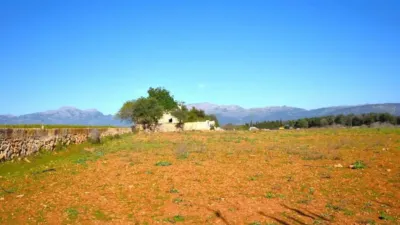 Rustic house in Muro photo 11