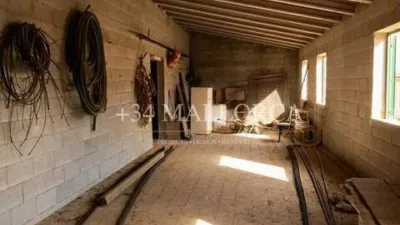 Chalet in Alaró photo 39