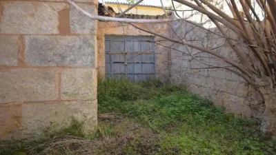 Chalet in Muro photo 13