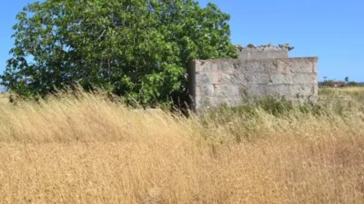 Rustic property in Muro photo 8