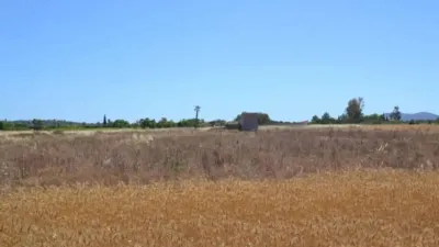 Rustic property in Muro photo 9