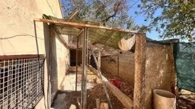 Casa – Elx - Elche - Vista 5