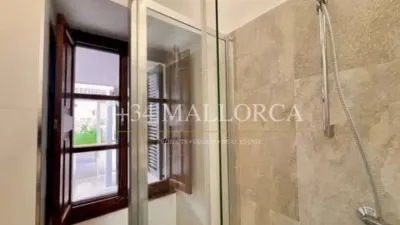 Flat in Santa Eugènia photo 60