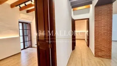 Flat in Santa Eugènia photo 38