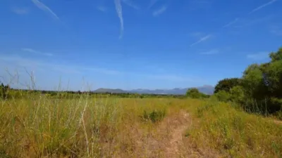 Rustic house in Muro photo 5