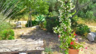Rustic house on Calle Diseminados Var, 619 photo 62