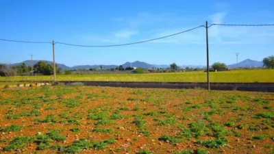 Rustic house in Muro photo 14