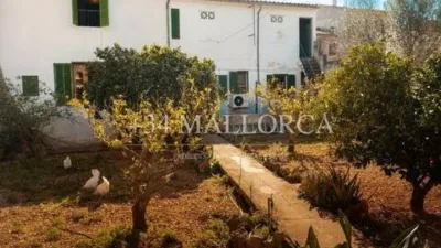 Chalet in Alaró photo 50