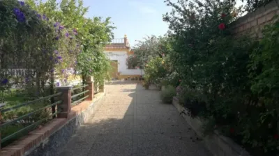 Chalet in Arcos de la Frontera photo 3
