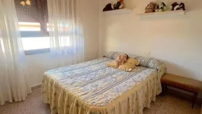 Terraced house in Formentera del Segura photo 17