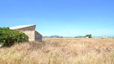 Rustic property in Muro photo 15