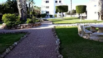 Pis – Orihuela, Villa Martín - Vista 4