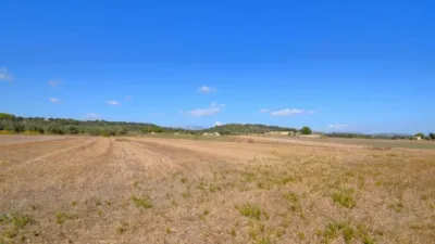 Rustic property in Muro photo 8